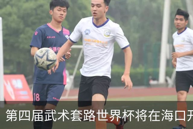 第四届武术套路世界杯将在海口开赛 30多个国家和地区人员参赛